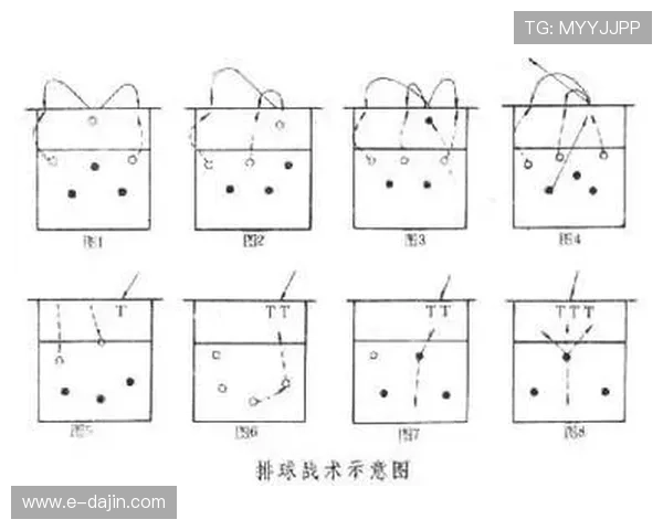 广州排球队的转换打法深度分析与战术解读