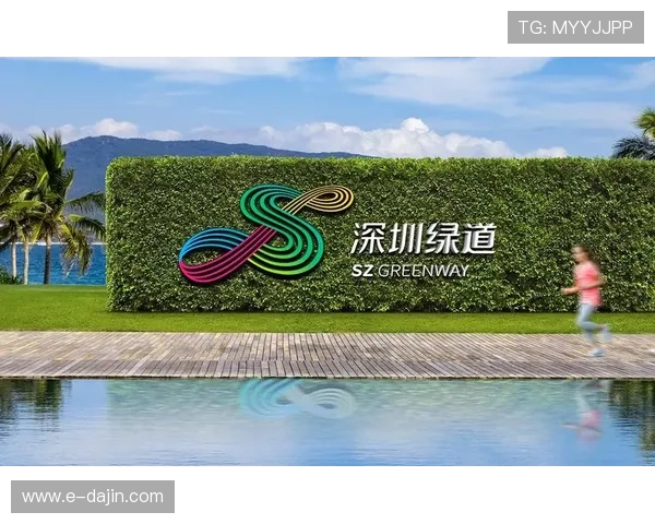 成都攀岩队区域防守创新之路探索与实践分析 成都攀岩队区域防守创新之路探索与实践分析